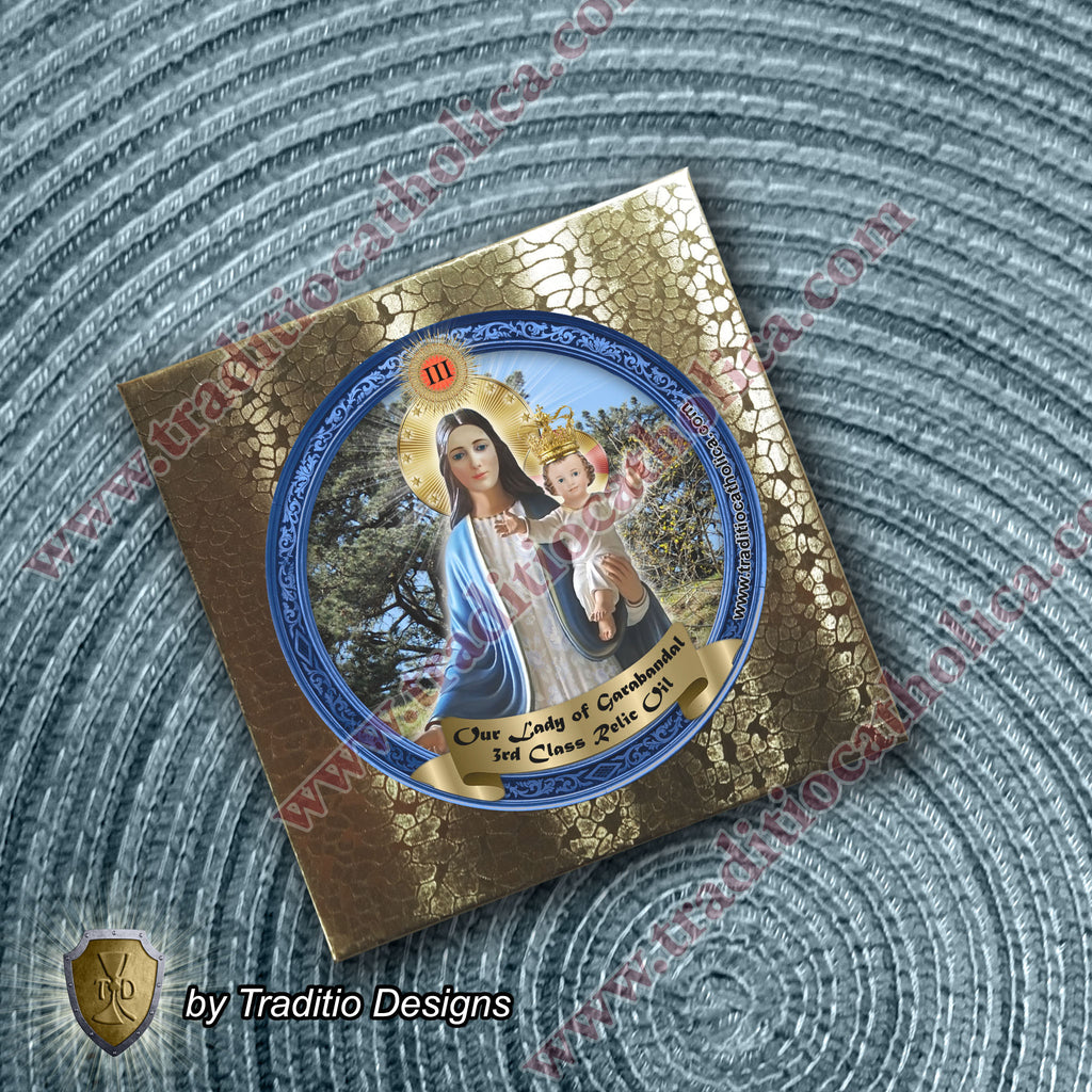Our Lady of Garabandal Relic Anointing Oil | Touched to 9 Blessed Mother Relics | Oil or Card Set